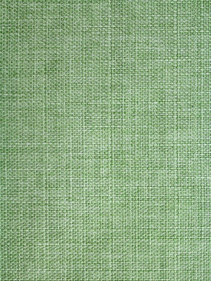 Bay - Verde Cítrico