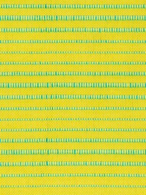 Sunroad - Abacate Limão