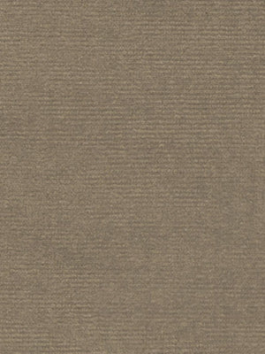 Easy Clean - Bege Escuro