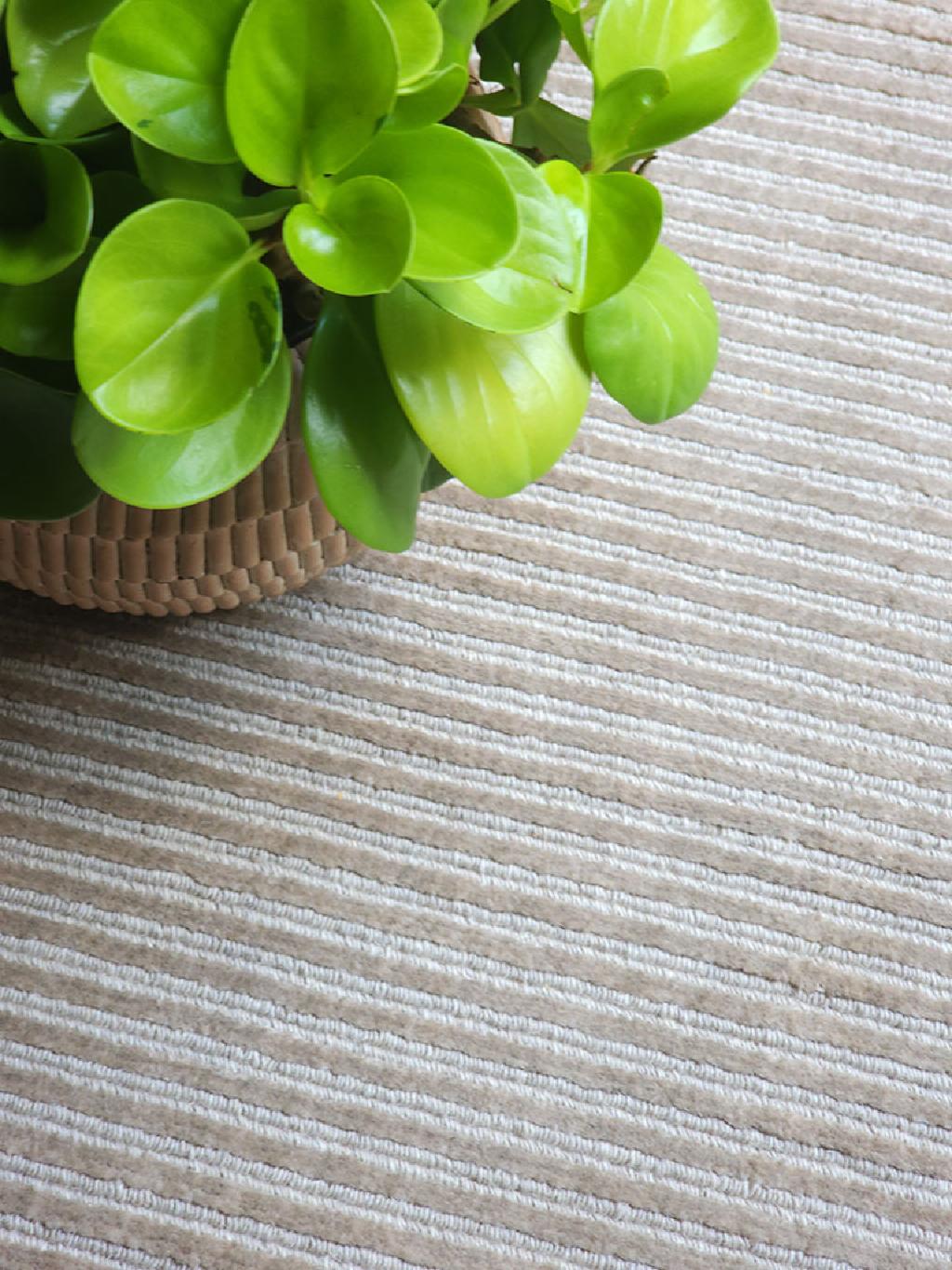 Imagem Ambientada