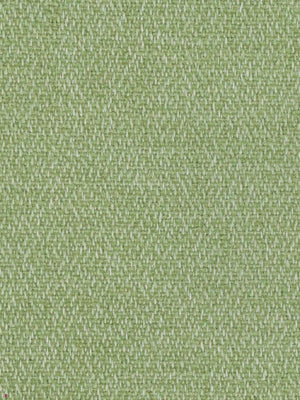 Litoral - Verde