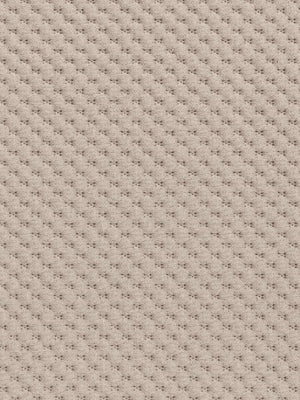 Joinville - Off White