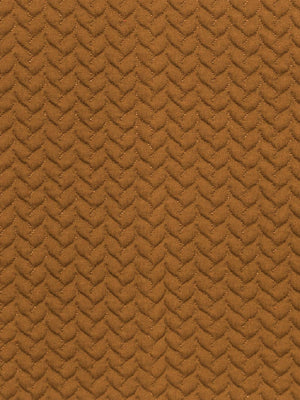 Diamantina - Camel