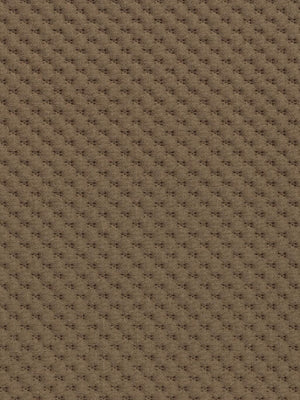 Joinville - Fendi